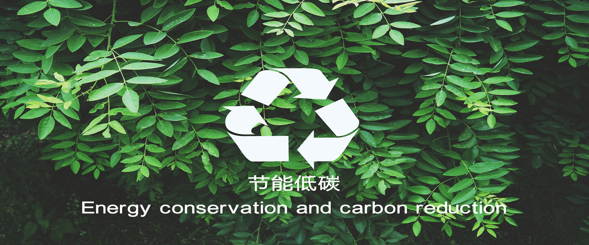 凯时K66官网 - 凯时优质运营商首页